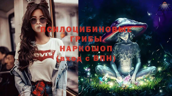 эйфоретик Аркадак