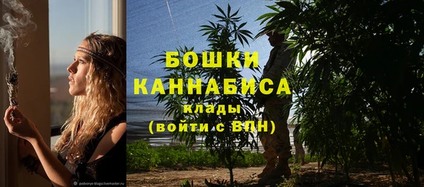 трава Армянск