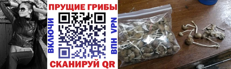 Галлюциногенные грибы мицелий Лахденпохья